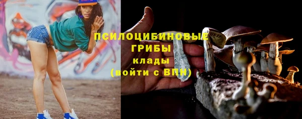 индика Козельск