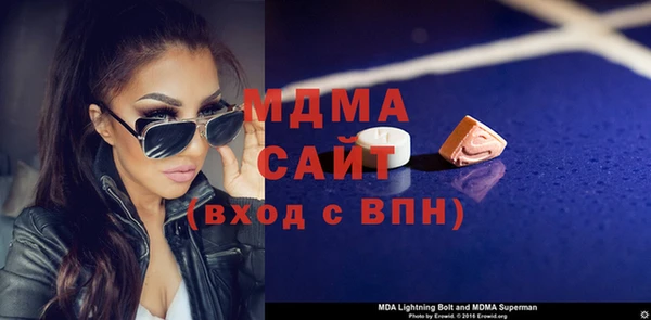 индика Козельск