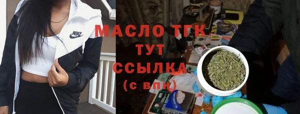 индика Козельск