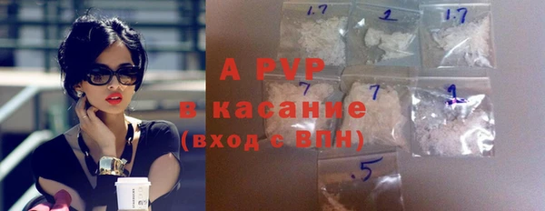 индика Козельск