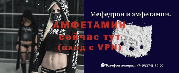 индика Козельск