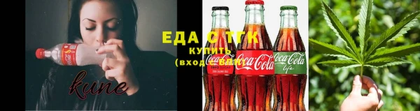 индика Козельск