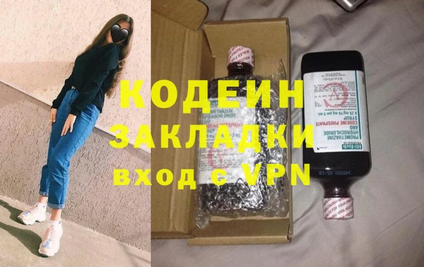 индика Козельск
