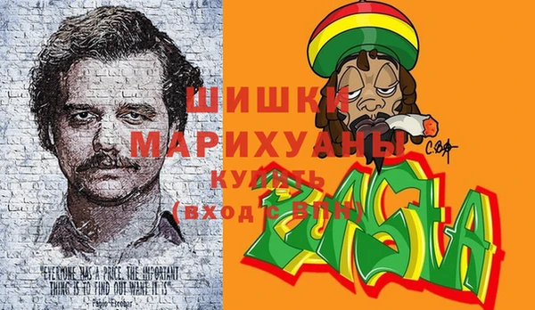 мдпв Козловка