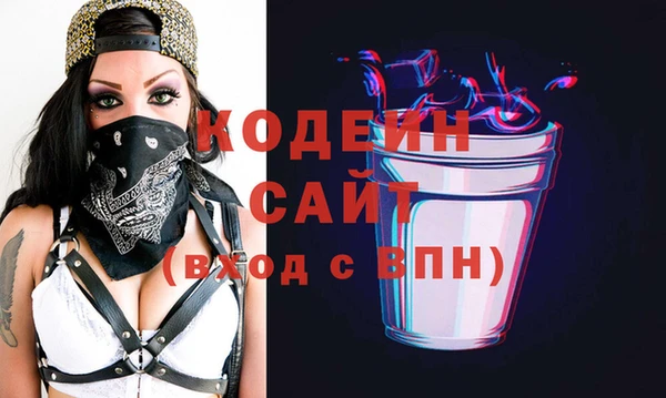 индика Козельск