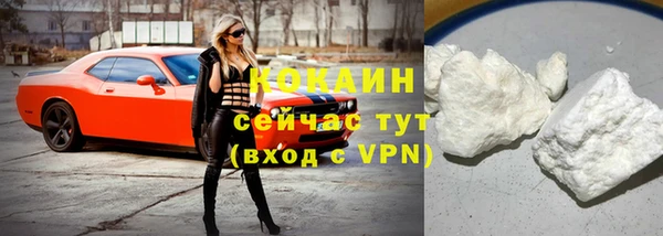 индика Козельск